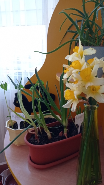 IMG_20250408_074036
