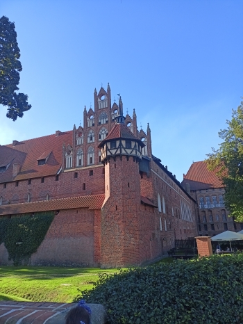 IMG20250925094139